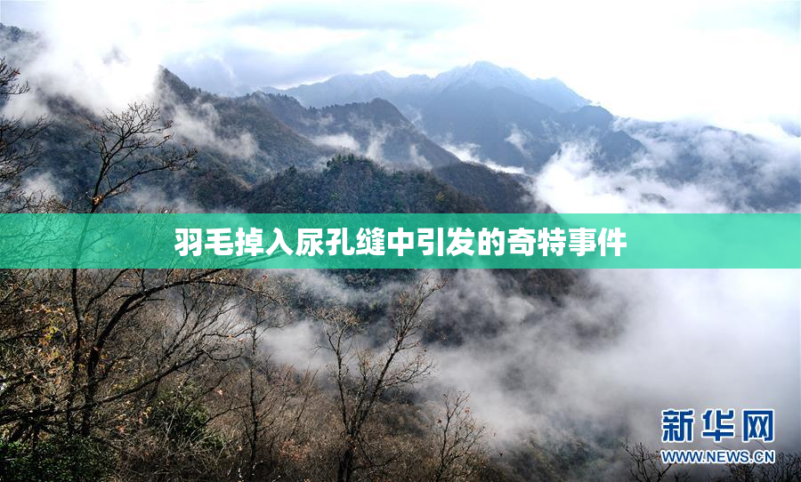羽毛掉入尿孔缝中引发的奇特事件