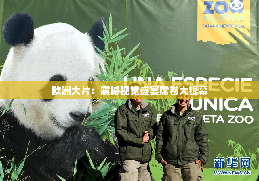 欧洲大片：震撼视觉盛宴席卷大银幕
