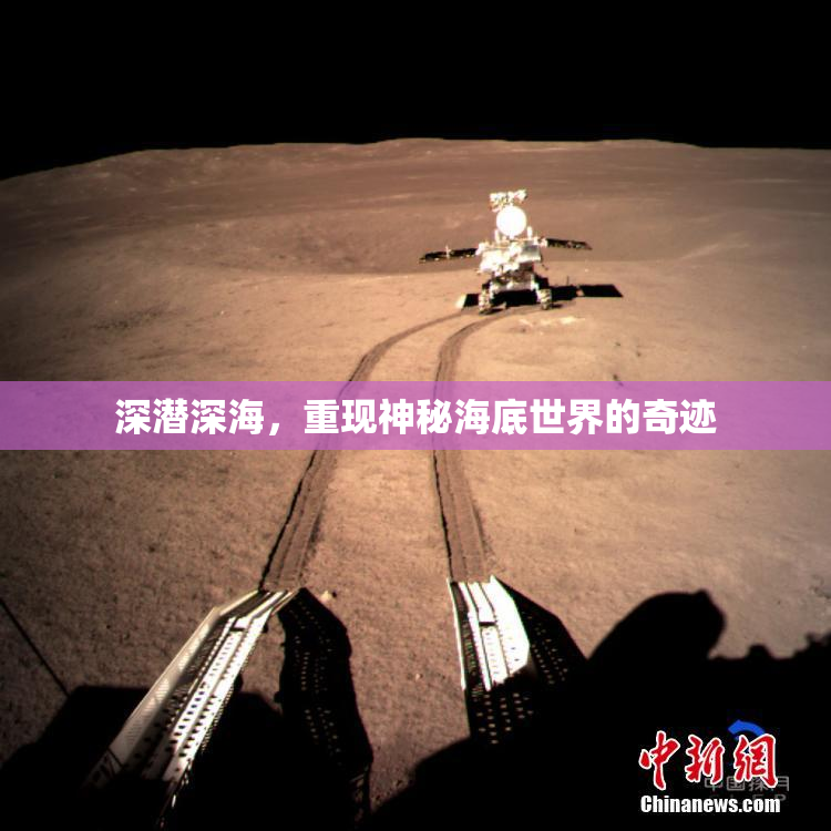 深潜深海，重现神秘海底世界的奇迹