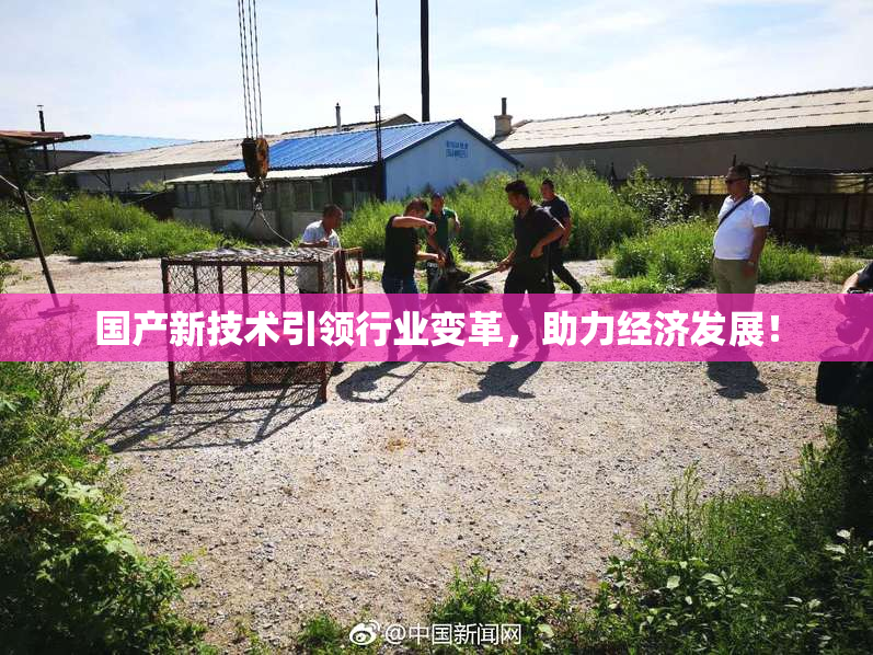 国产新技术引领行业变革，助力经济发展！