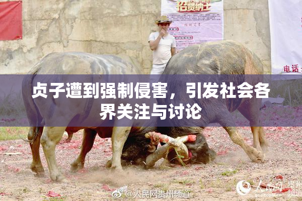 贞子遭到强制侵害，引发社会各界关注与讨论