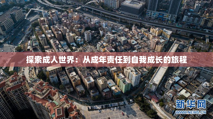 探索成人世界：从成年责任到自我成长的旅程