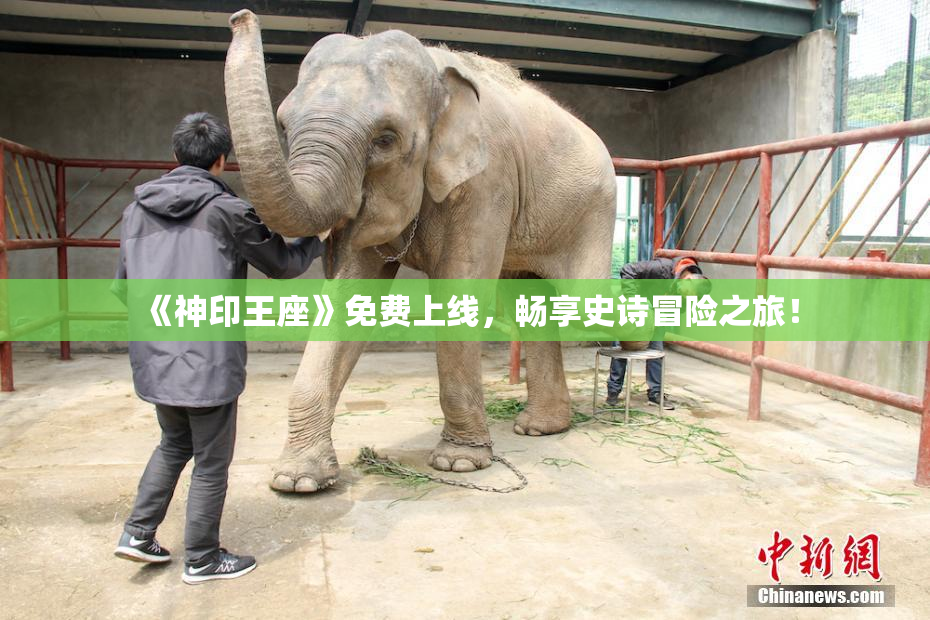 《神印王座》免费上线，畅享史诗冒险之旅！