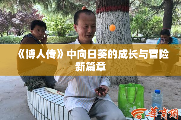《博人传》中向日葵的成长与冒险新篇章