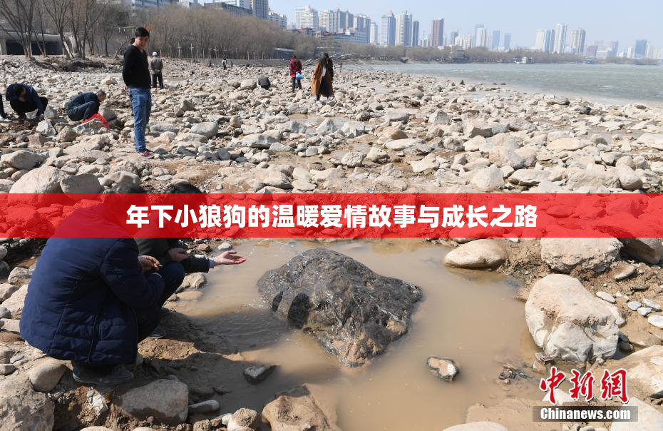 年下小狼狗的温暖爱情故事与成长之路