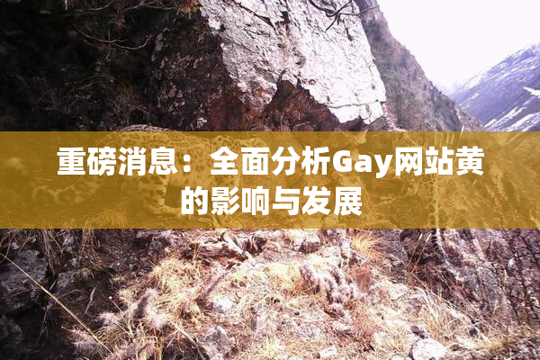 重磅消息：全面分析Gay网站黄的影响与发展