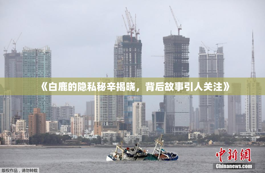 《白鹿的隐私秘辛揭晓，背后故事引人关注》