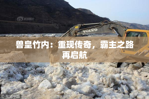 兽皇竹内：重现传奇，霸主之路再启航
