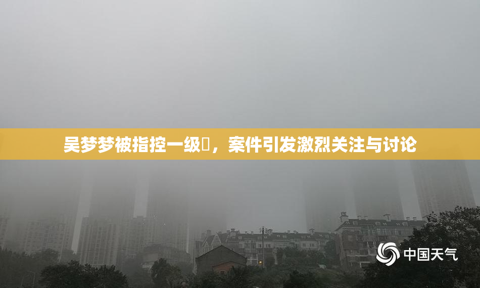 吴梦梦被指控一级婬，案件引发激烈关注与讨论