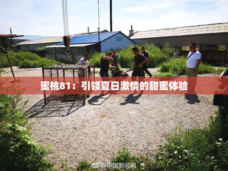 蜜桃81：引领夏日激情的甜蜜体验