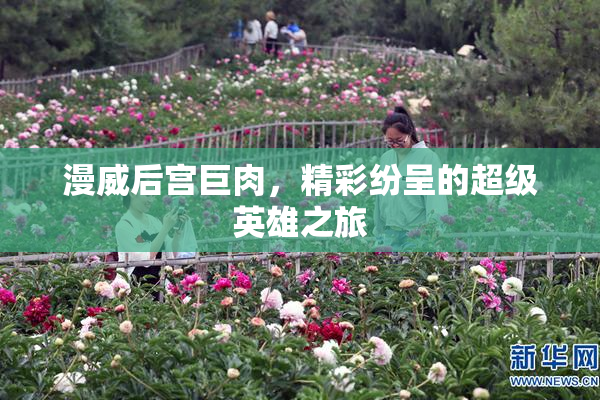 漫威后宫巨肉，精彩纷呈的超级英雄之旅