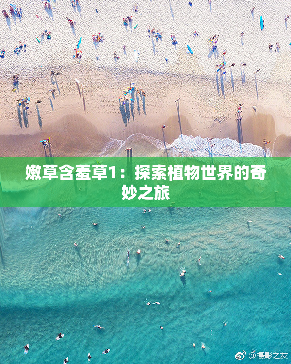 嫩草含羞草1：探索植物世界的奇妙之旅