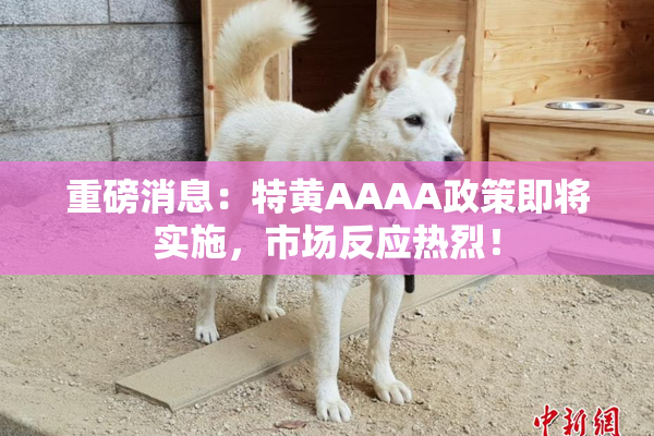 重磅消息：特黄AAAA政策即将实施，市场反应热烈！
