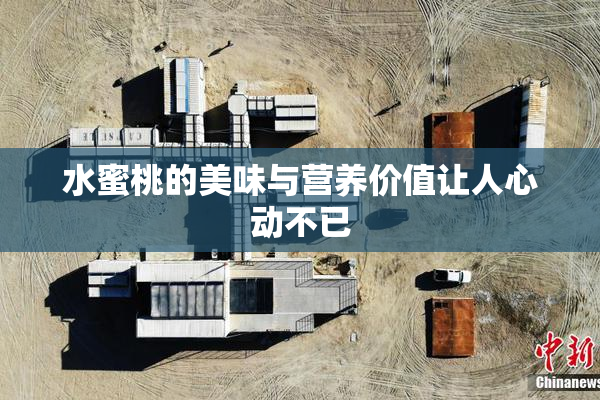 水蜜桃的美味与营养价值让人心动不已