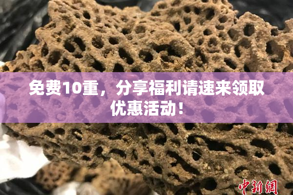 免费10重，分享福利请速来领取优惠活动！