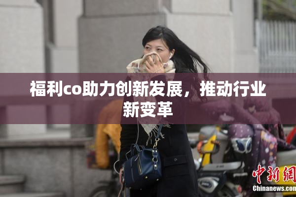 福利co助力创新发展，推动行业新变革