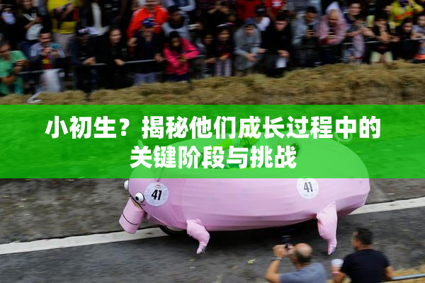 小初生？揭秘他们成长过程中的关键阶段与挑战