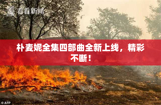朴麦妮全集四部曲全新上线，精彩不断！