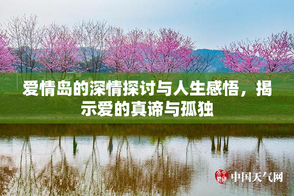 爱情岛的深情探讨与人生感悟，揭示爱的真谛与孤独