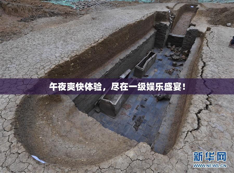 午夜爽快体验，尽在一级娱乐盛宴！
