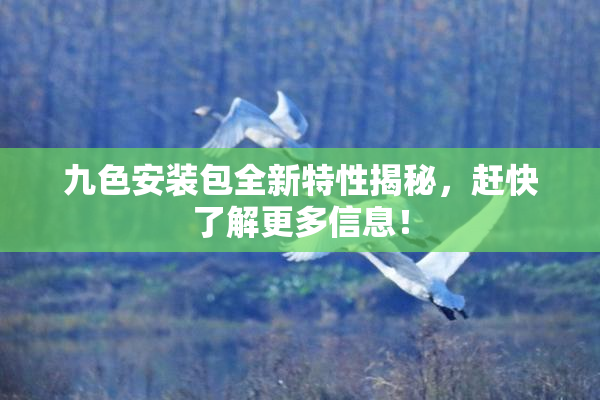 九色安装包全新特性揭秘，赶快了解更多信息！