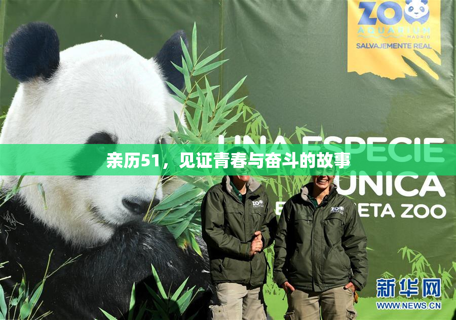 亲历51，见证青春与奋斗的故事
