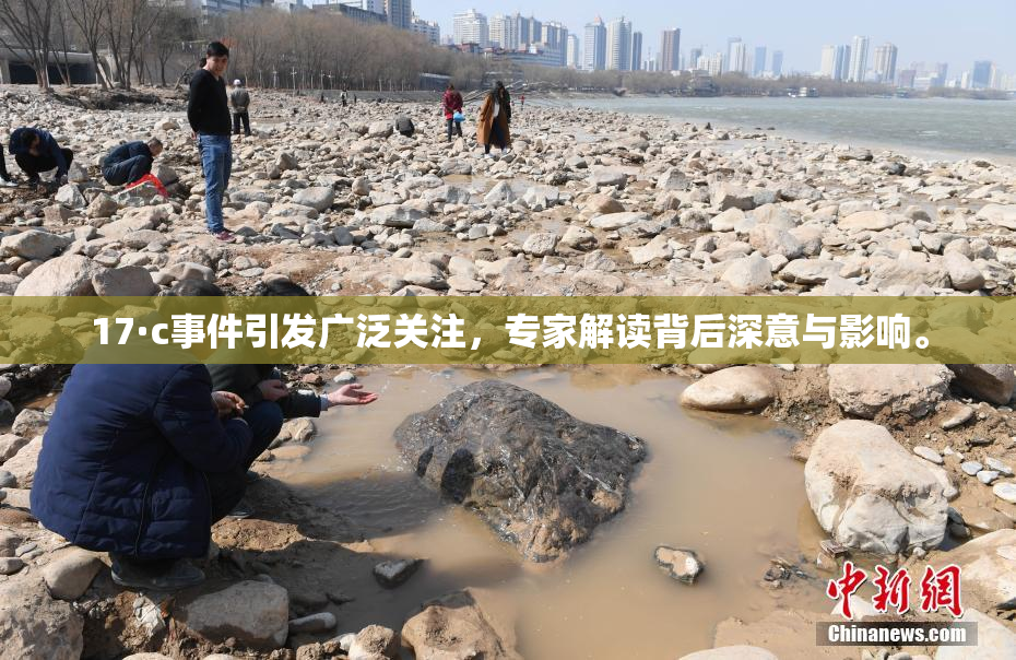 17·c事件引发广泛关注，专家解读背后深意与影响。
