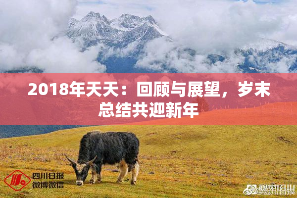 2018年天天：回顾与展望，岁末总结共迎新年