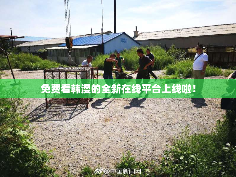 免费看韩漫的全新在线平台上线啦！
