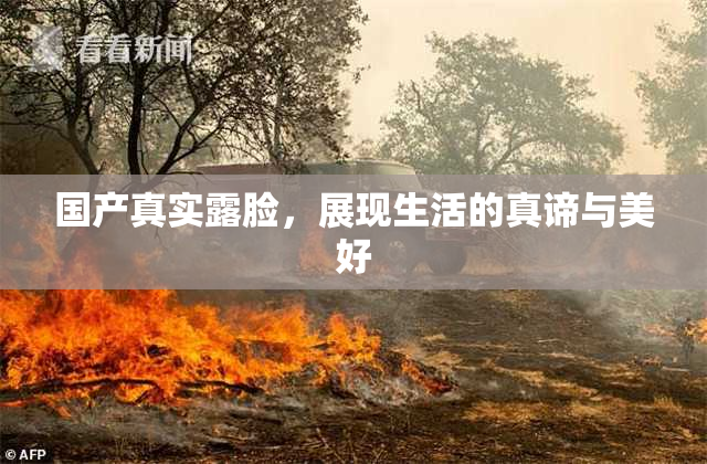 国产真实露脸，展现生活的真谛与美好