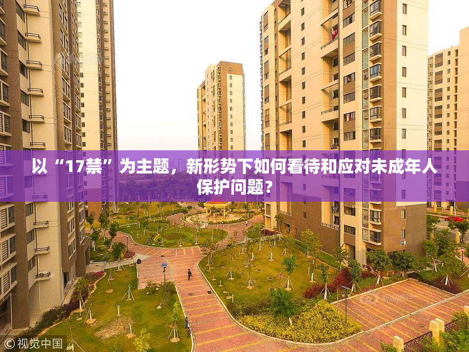 以“17禁”为主题，新形势下如何看待和应对未成年人保护问题？