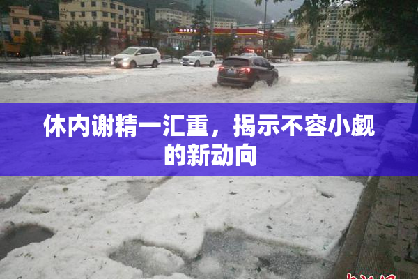 休内谢精一汇重，揭示不容小觑的新动向
