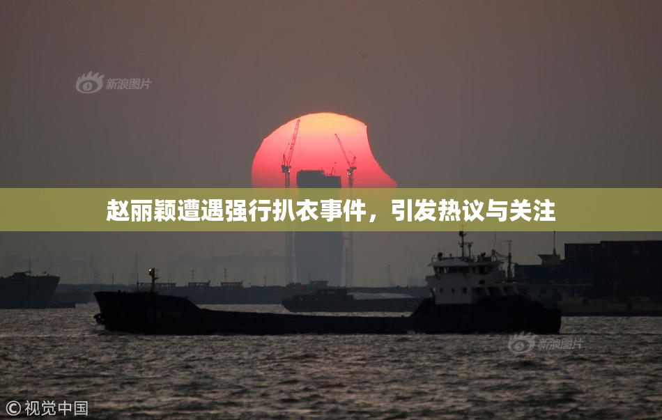 赵丽颖遭遇强行扒衣事件，引发热议与关注