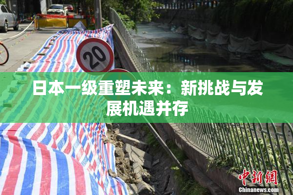 日本一级重塑未来：新挑战与发展机遇并存