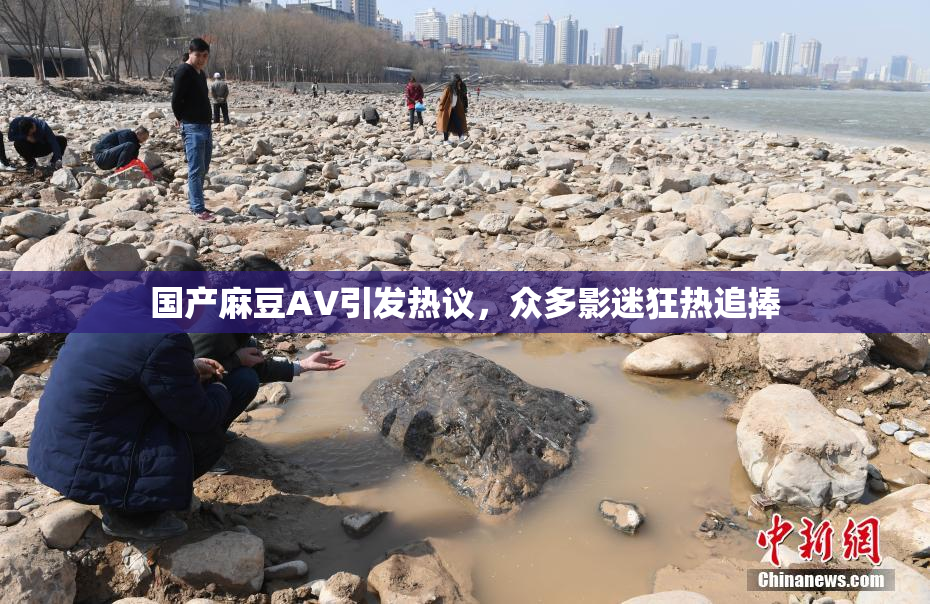 国产麻豆AV引发热议，众多影迷狂热追捧