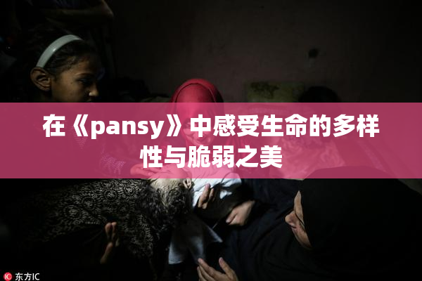 在《pansy》中感受生命的多样性与脆弱之美