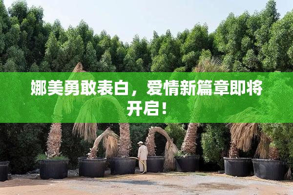 娜美勇敢表白，爱情新篇章即将开启！