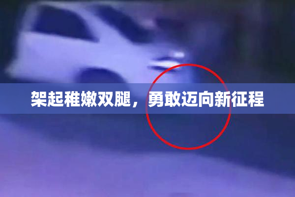 架起稚嫩双腿，勇敢迈向新征程