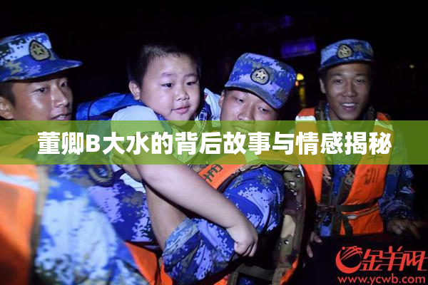 董卿B大水的背后故事与情感揭秘