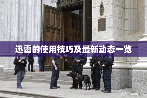 迅雷的使用技巧及最新动态一览