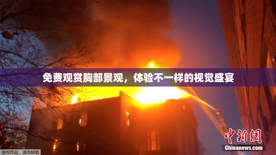 免费观赏胸部景观，体验不一样的视觉盛宴
