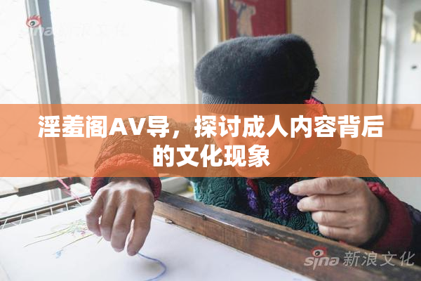 淫羞阁AV导，探讨成人内容背后的文化现象