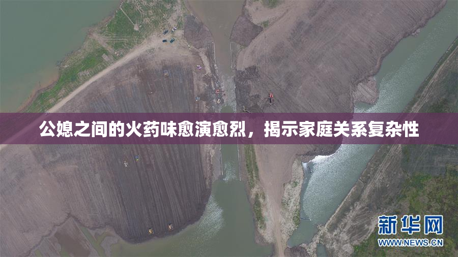 公媳之间的火药味愈演愈烈，揭示家庭关系复杂性