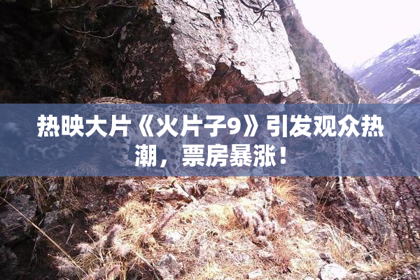 热映大片《火片子9》引发观众热潮，票房暴涨！