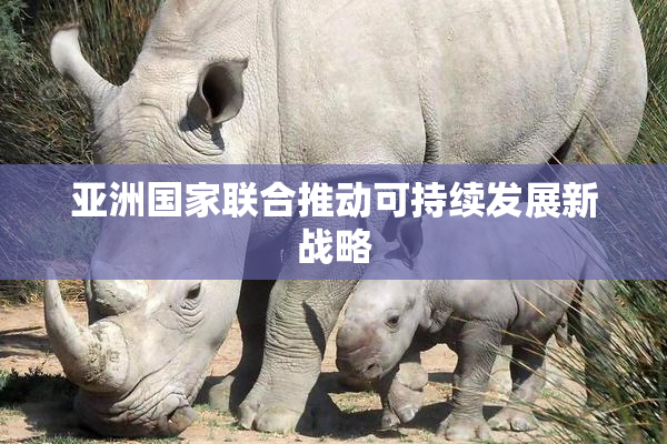 亚洲国家联合推动可持续发展新战略