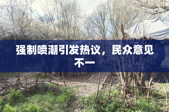 强制喷潮引发热议，民众意见不一