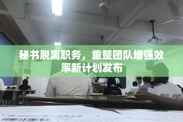 秘书脱离职务，重整团队增强效率新计划发布