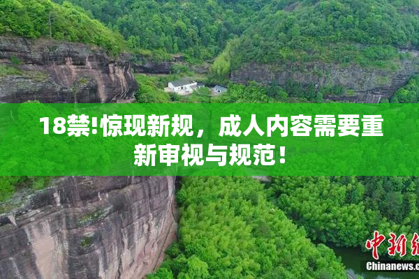 18禁!惊现新规，成人内容需要重新审视与规范！