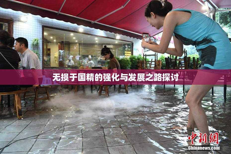 无损于国精的强化与发展之路探讨