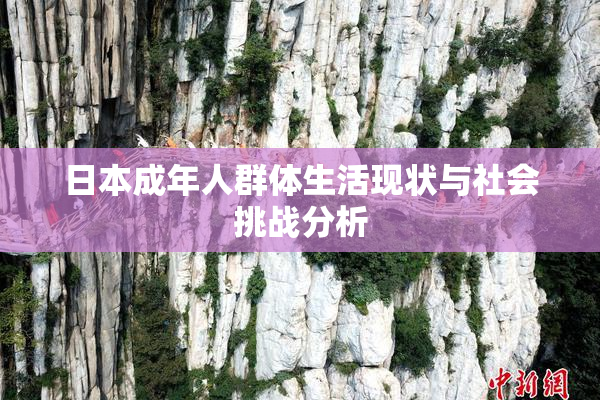 日本成年人群体生活现状与社会挑战分析